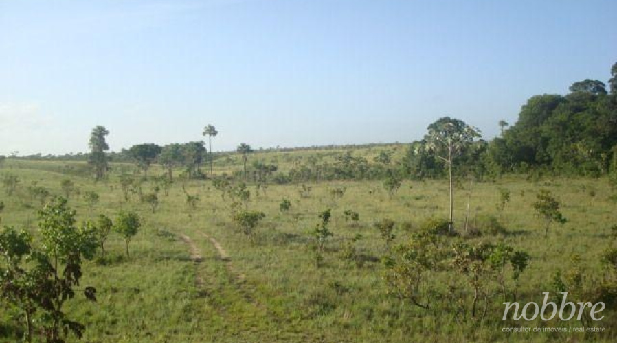 Fazendas para vender no Amapá